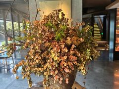 -新荣记(西溪湿地店)