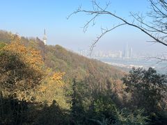 -岳麓山风景名胜区