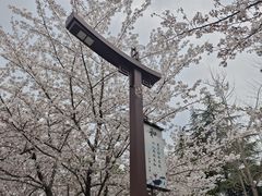 -堤角公园