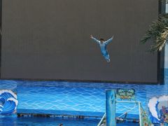 -海合安成都极地海洋公园