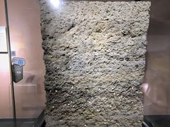 -烟台市博物馆