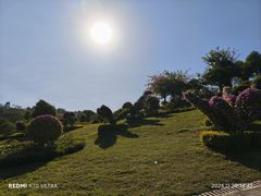 -东莞植物园