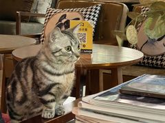 -咖法森林·咖啡  酒吧(天河店)