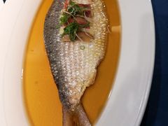 古法秘制蒸鲥鱼-麟1929(外滩店)