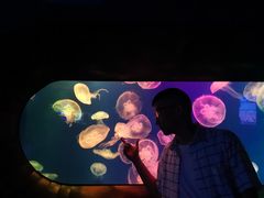 -成都浩海立方海洋公园