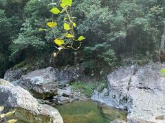 -龙湾潭国家森林公园