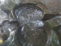 -成都市活水公园