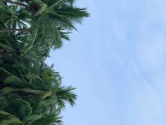 -三亚南山文化旅游区