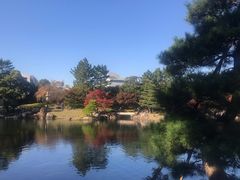 -名古屋城