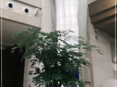 -上海外滩茂悦大酒店