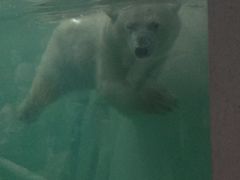 -白鹿仓冰雪海洋世界