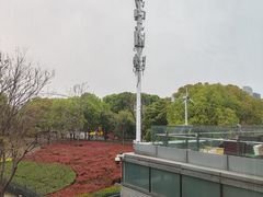 -上海小南国(世博源店)