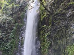 -莫里热带雨林景区