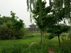 -北京麋鹿生态实验中心