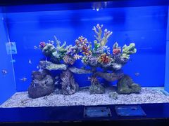 -洛阳龙门海洋馆