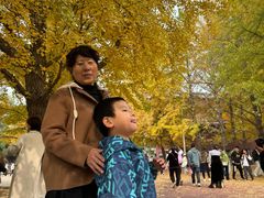 -辽宁大学(崇山校区)