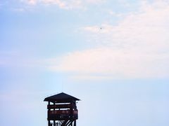 -日照海滨国家森林公园