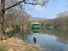 -WeLope紫金山探险公园