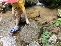 -火炉山森林公园