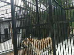 -广东茂名森林公园