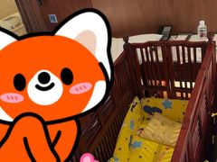 -广州白天鹅宾馆