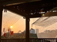 -广西壮族自治区药用植物园