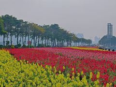 -海心沙亚运公园