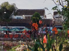 -莲花岛景区