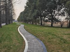 -同里国家湿地公园