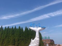 -仰口沙滩