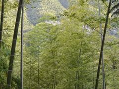 -莫干山风景区