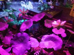 -韵秋荷(宝山龙湖天街店)