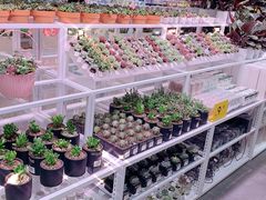 -KKV(重庆东原悦荟主力店)