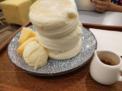 -王守财小山園
