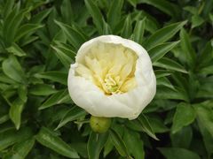 -长春公园(普阳街道)