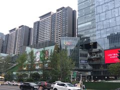 -合景·悠方(成都店)