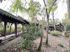 -上海佘山国家森林公园天马山园