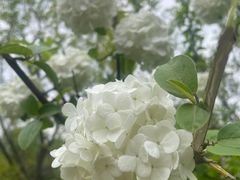 -苏州太湖国家湿地公园
