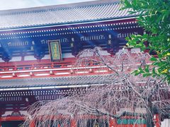 -浅草寺