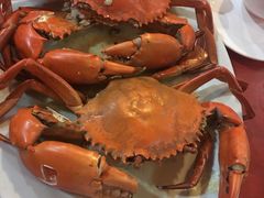 清蒸大闸蟹-香港厨房