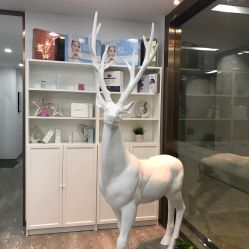 点击看大图 -时间海科学美容