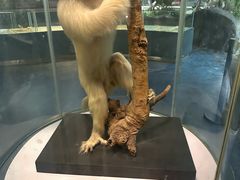 -昆明动物博物馆