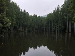 -波尔登森林公园