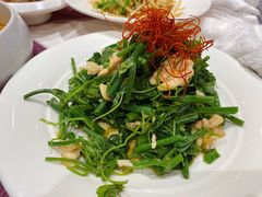 -凯鸽酒楼•雁北民间菜(华北星店)