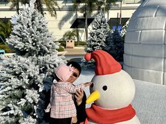 -汕头中海黄金海岸水上乐园