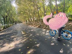 -长白岛森林公园