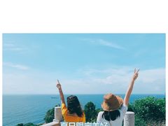 -广东惠东海龟国家级自然保护区