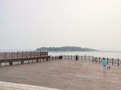 -琴岛之星摩天轮