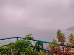 -望湖烤鱼