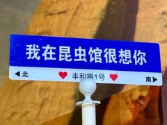 -上海大自然野生昆虫馆(东方明珠·爬宠昆虫探索中心)